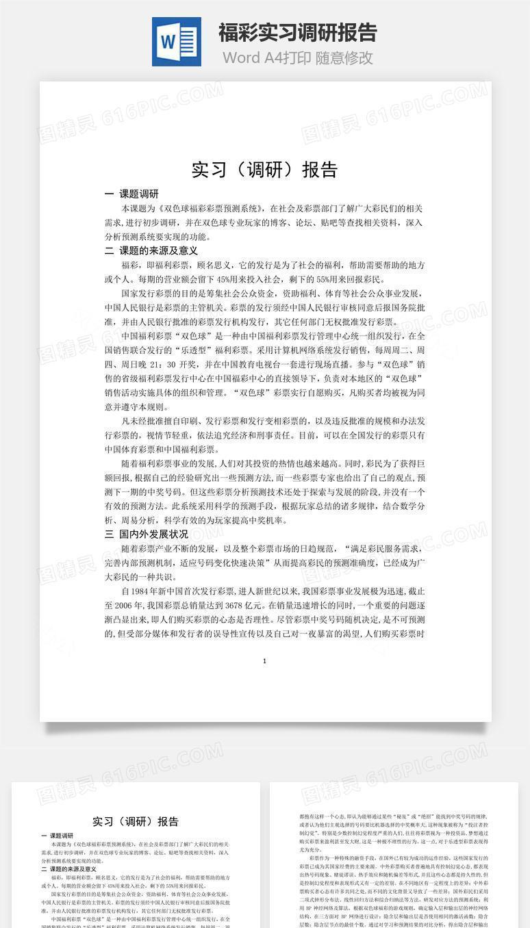 福彩实习调研报告word文档