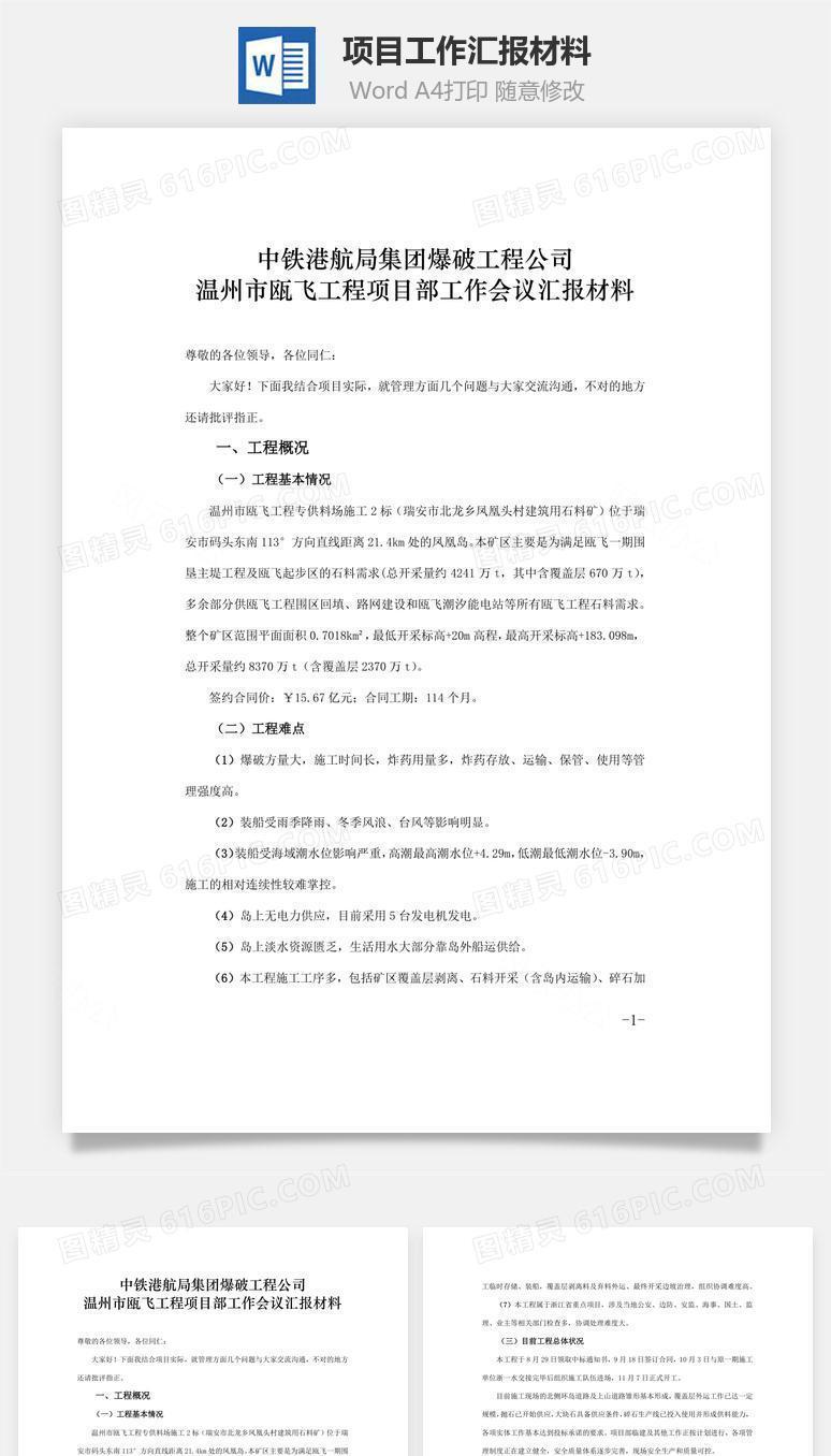 项目工作汇报材料word文档