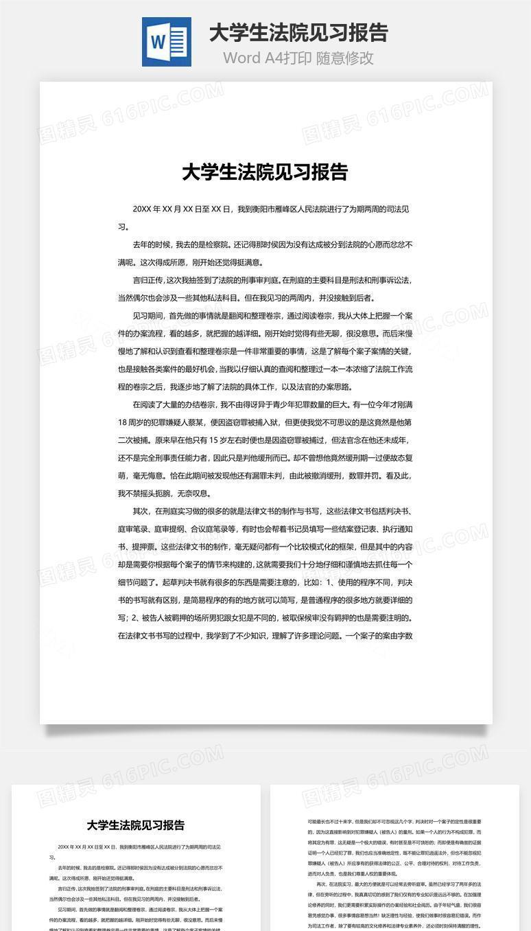 大学生法院见习报告word文档
