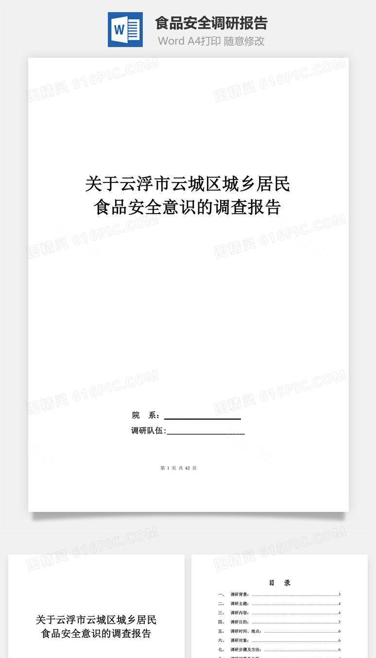 食品安全调研报告word文档