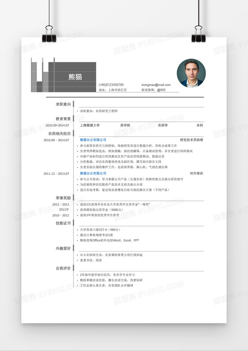 简洁风线条求职简历Word简历模板