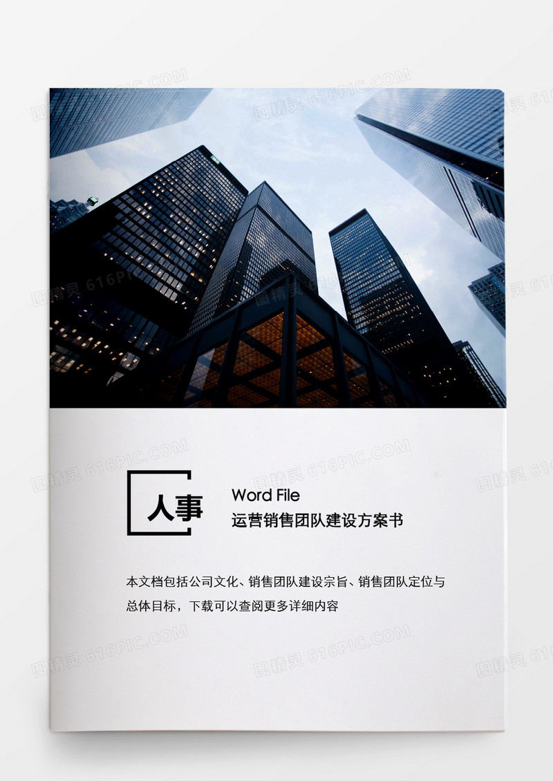人事管理运营销售团队建设方案word文档