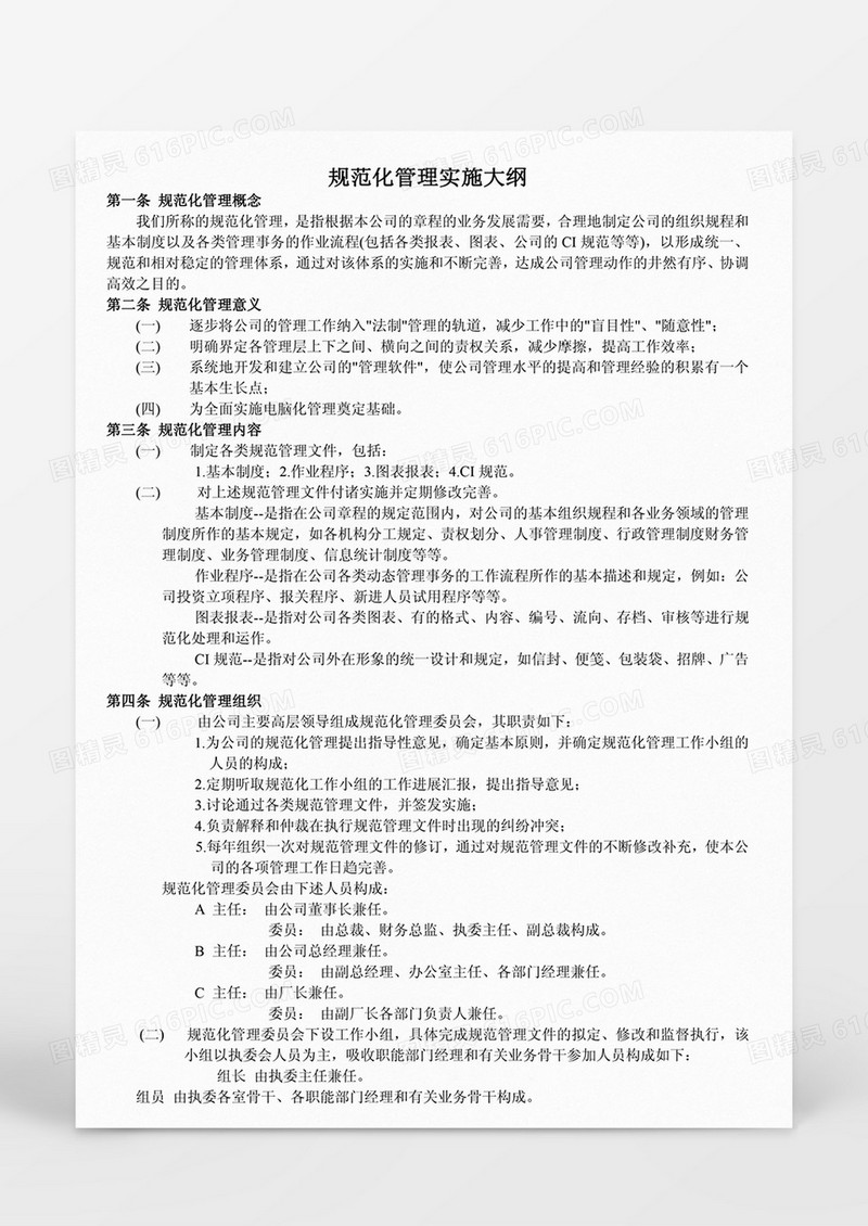 规范化管理实施大纲Word模板