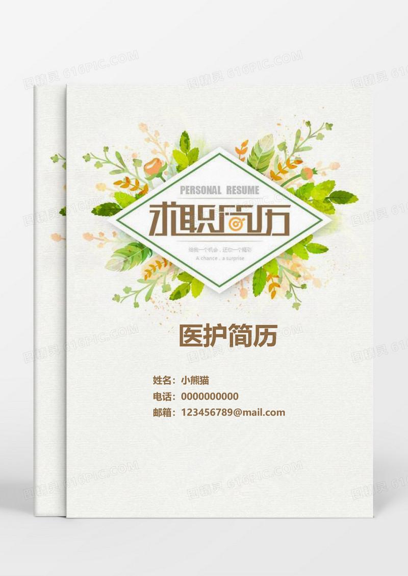 小清新护士个人求职简历word模板