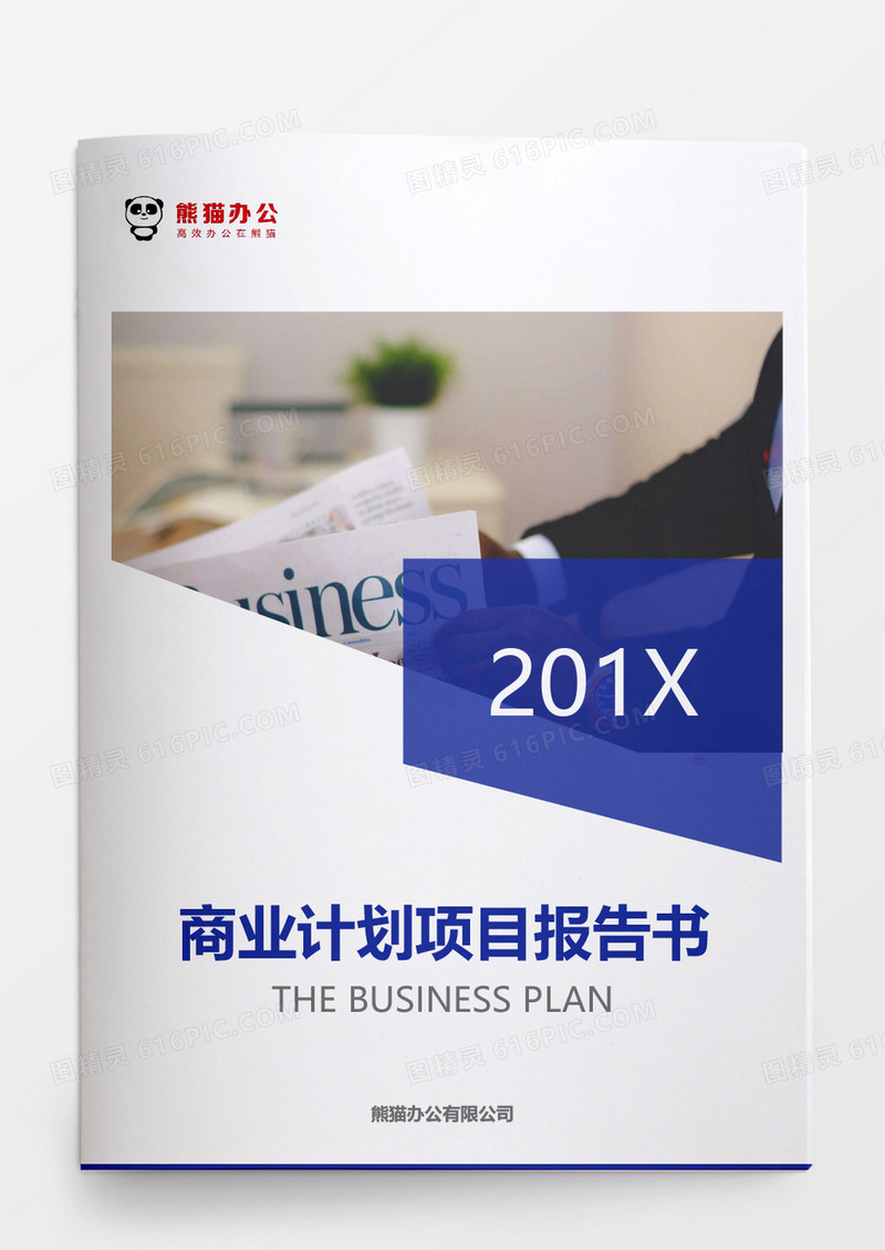 蓝色商业计划项目报告书