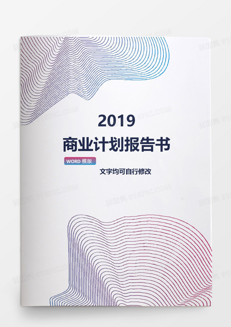 唯美扁平2019商业计划报告书