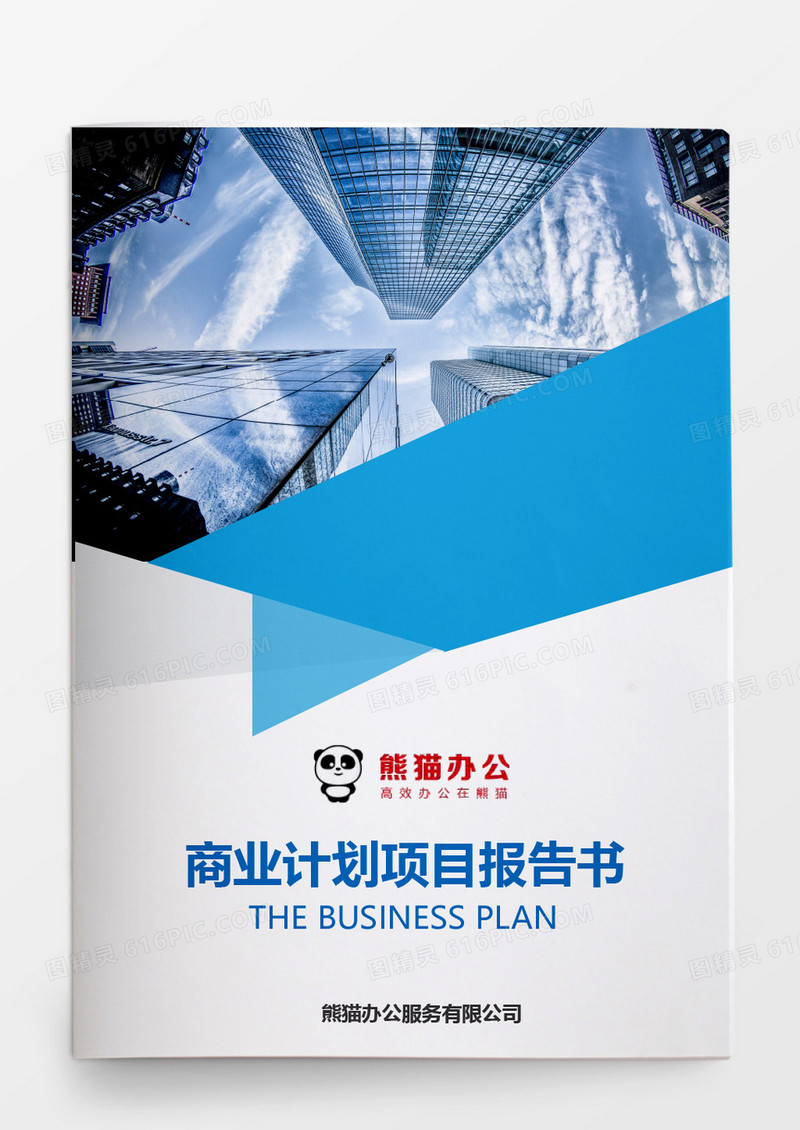 商业计划项目报告书