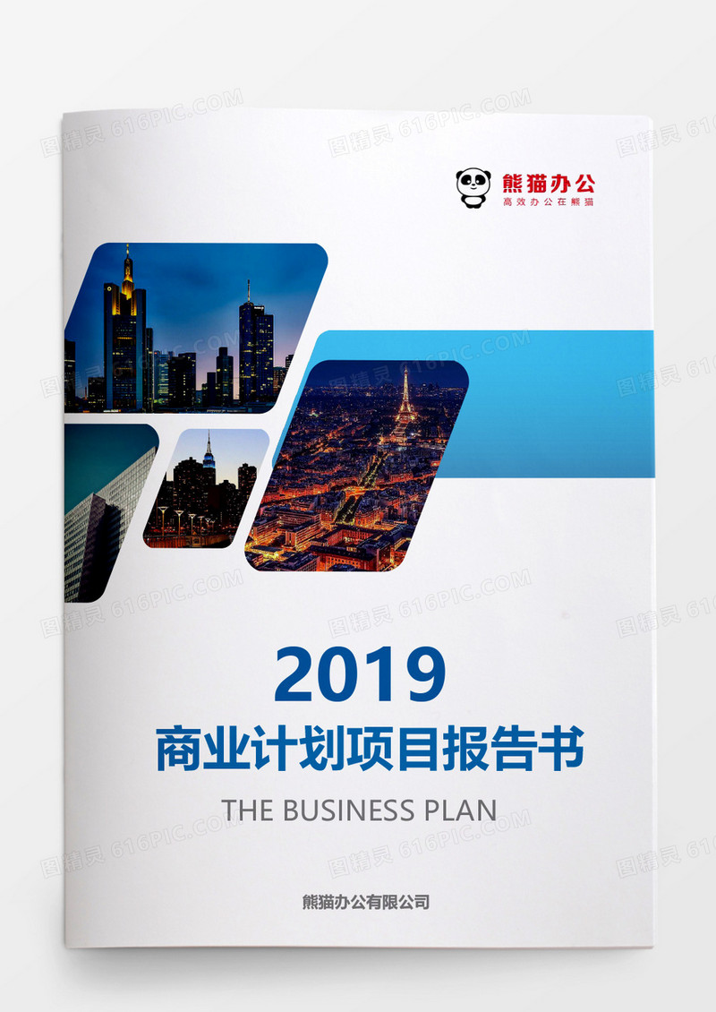 商业计划项目报告书