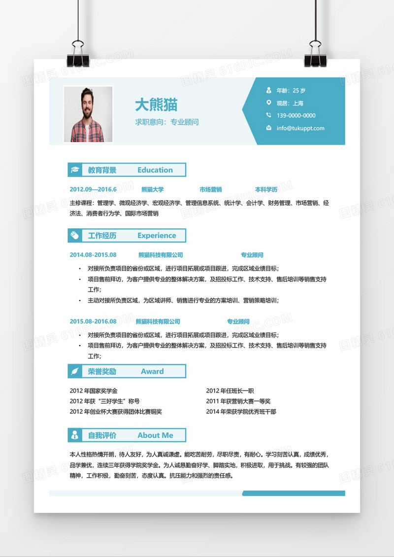 流行创意专业顾问求职简历word模板