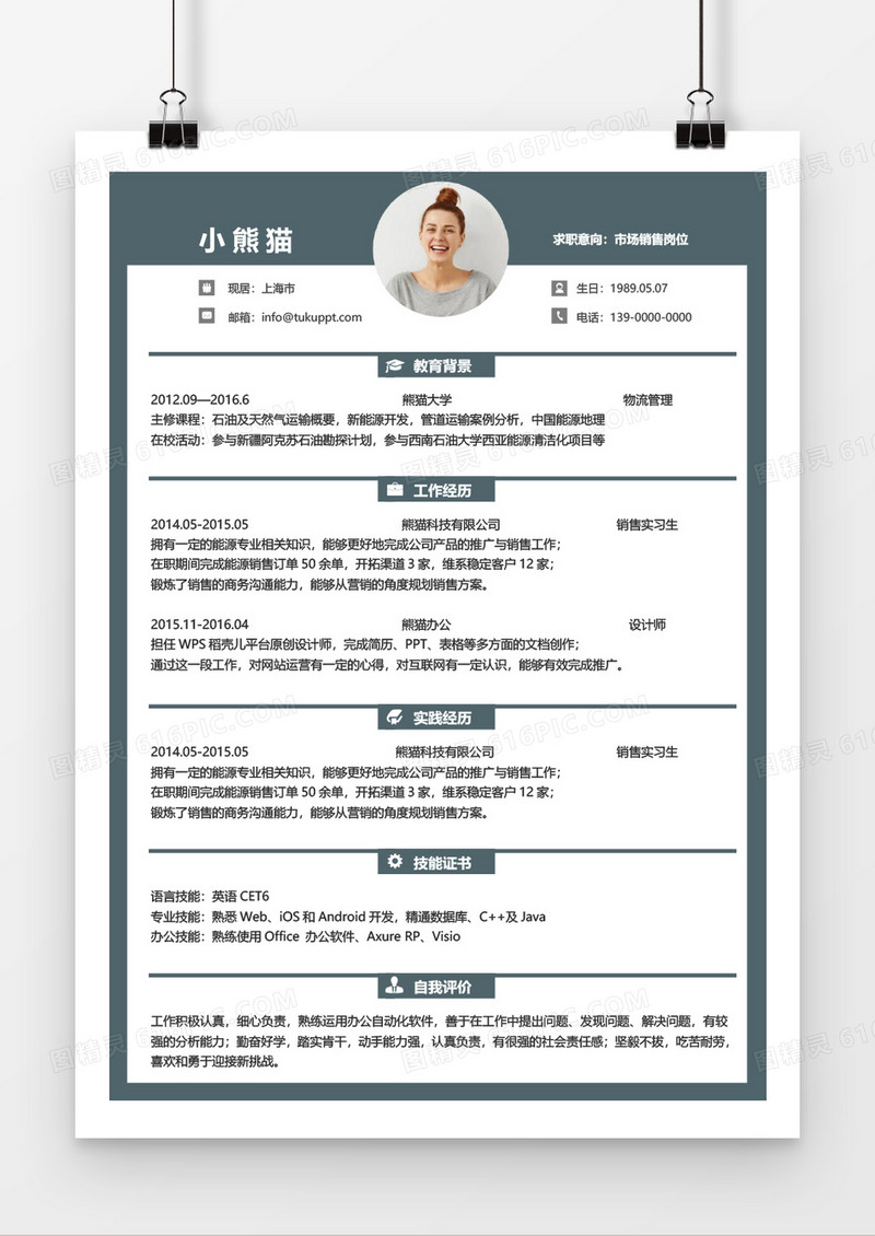 稳重商务市场销售岗位求职简历word模板