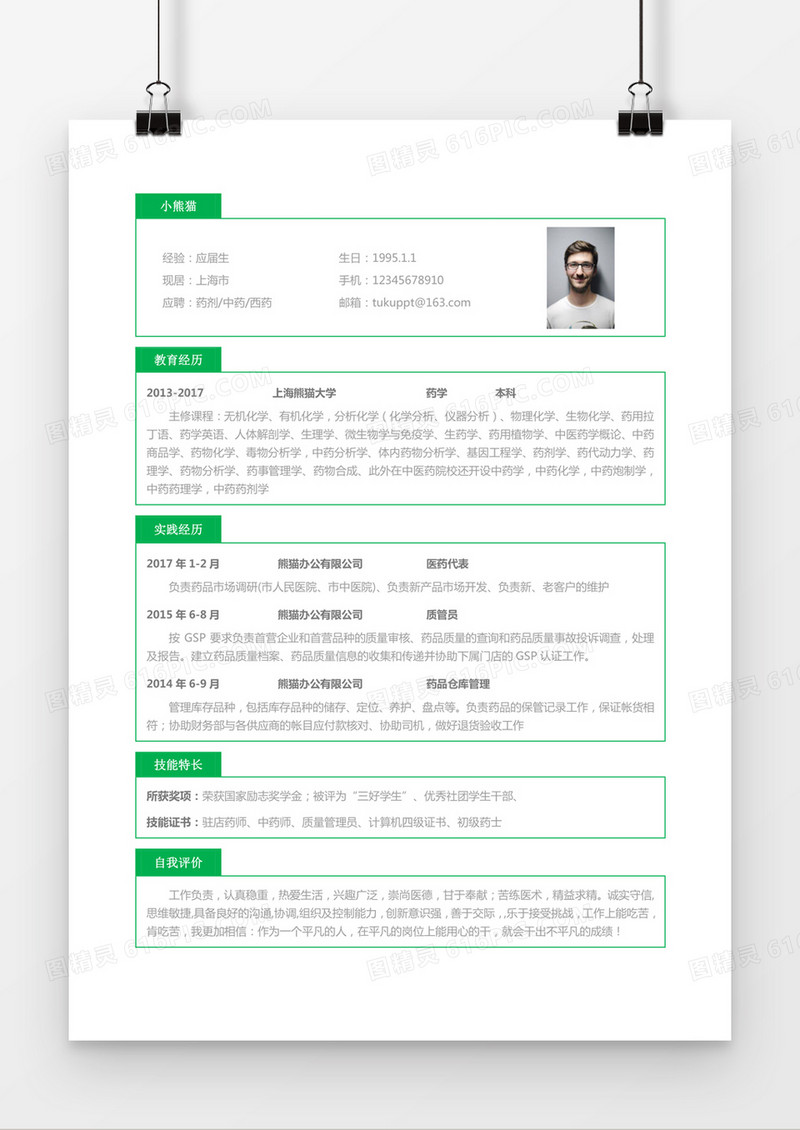 绿色简约药剂中药西药求职简历word简历