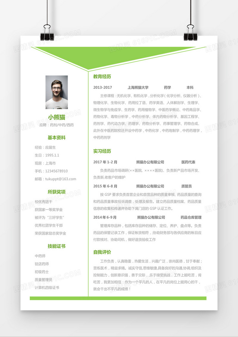绿色时尚简约药剂中药西药求职简历word简历