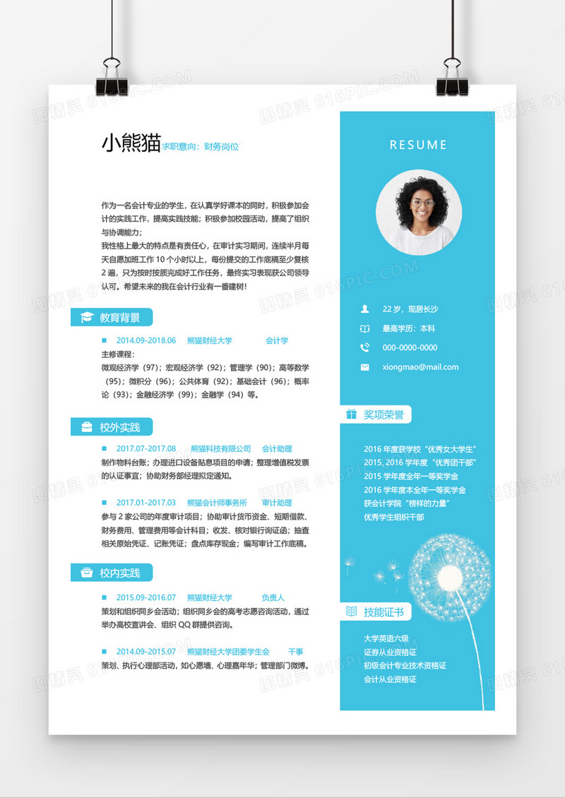 蓝色大气简约财务会计求职简历word模板