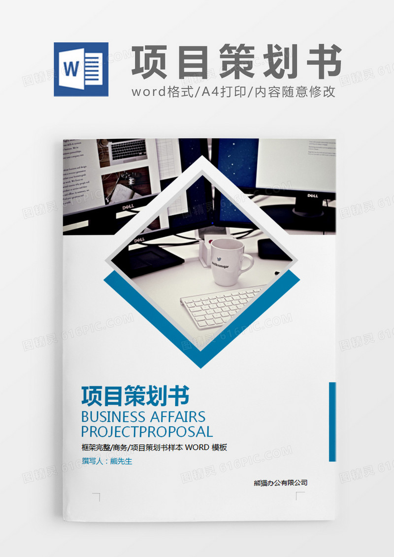 天蓝色商务项目策划书word模板