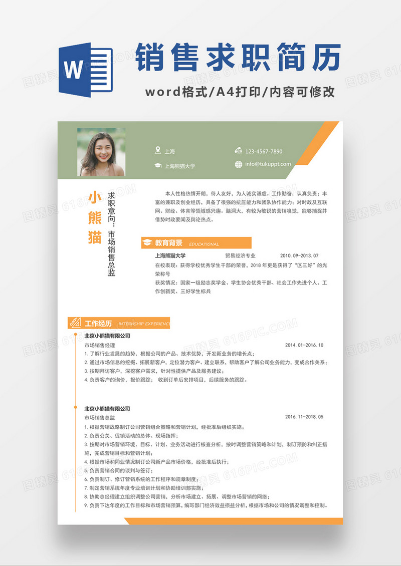 浅蓝色清新市场销售总监求职简约简历word模板