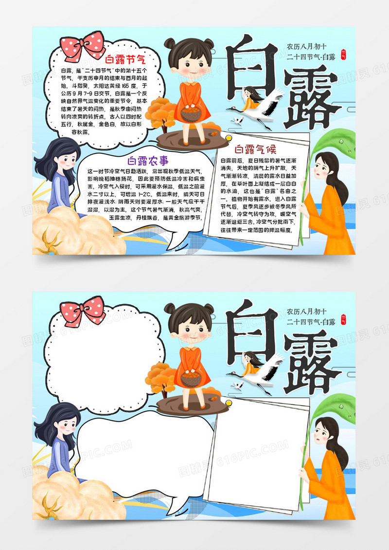 白露节气手抄报word模板