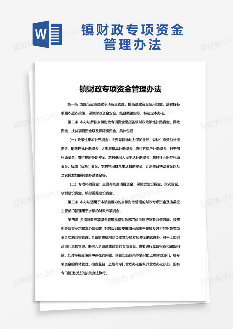 镇财政专项资金管理办法word模板