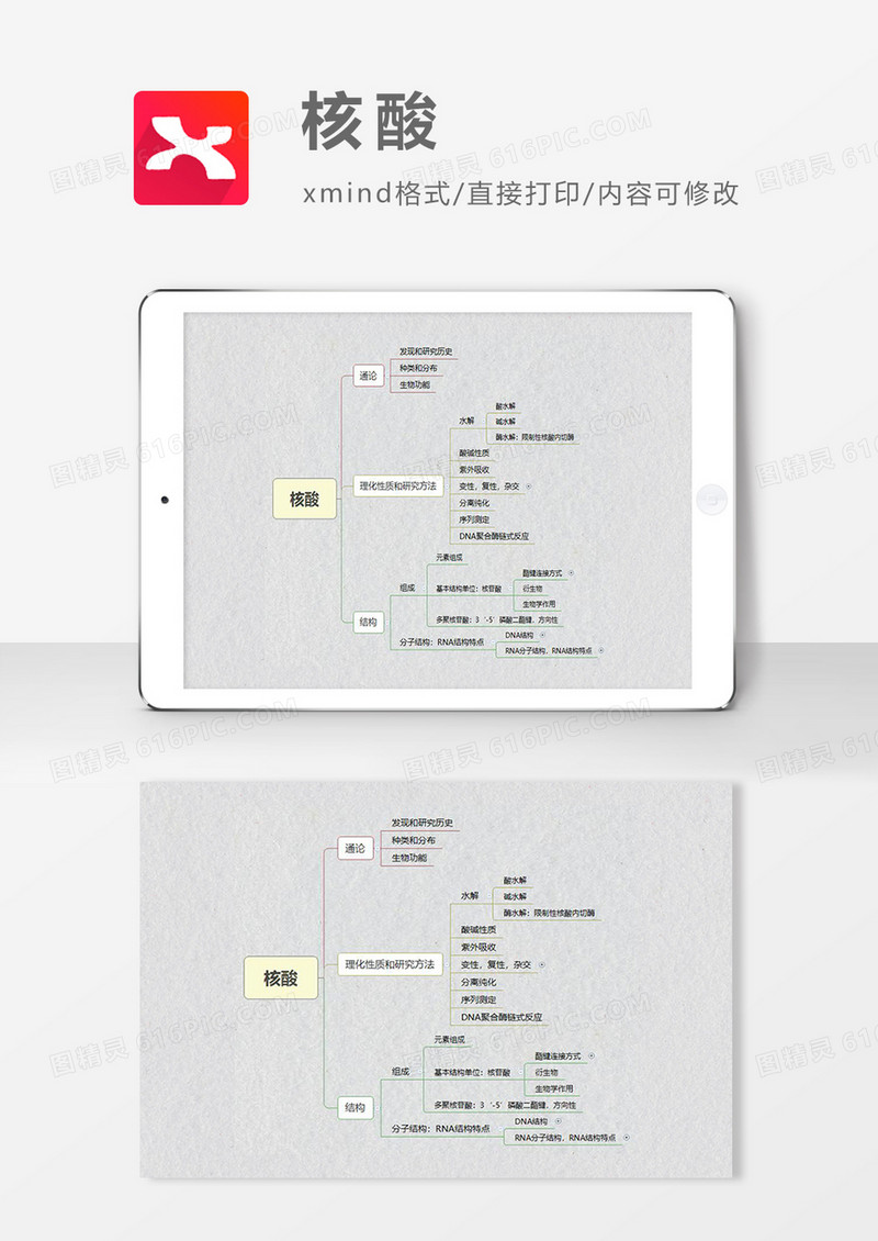 思维导图核酸XMind模板