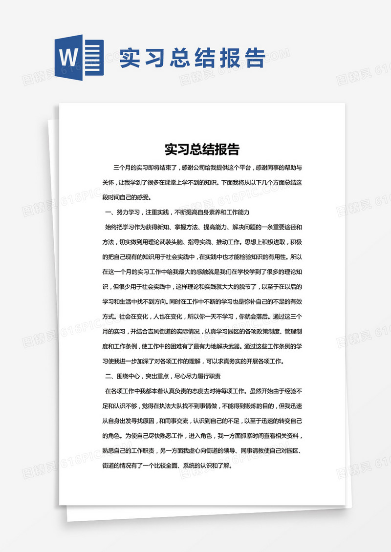 简约实习总结报告范文Word模版