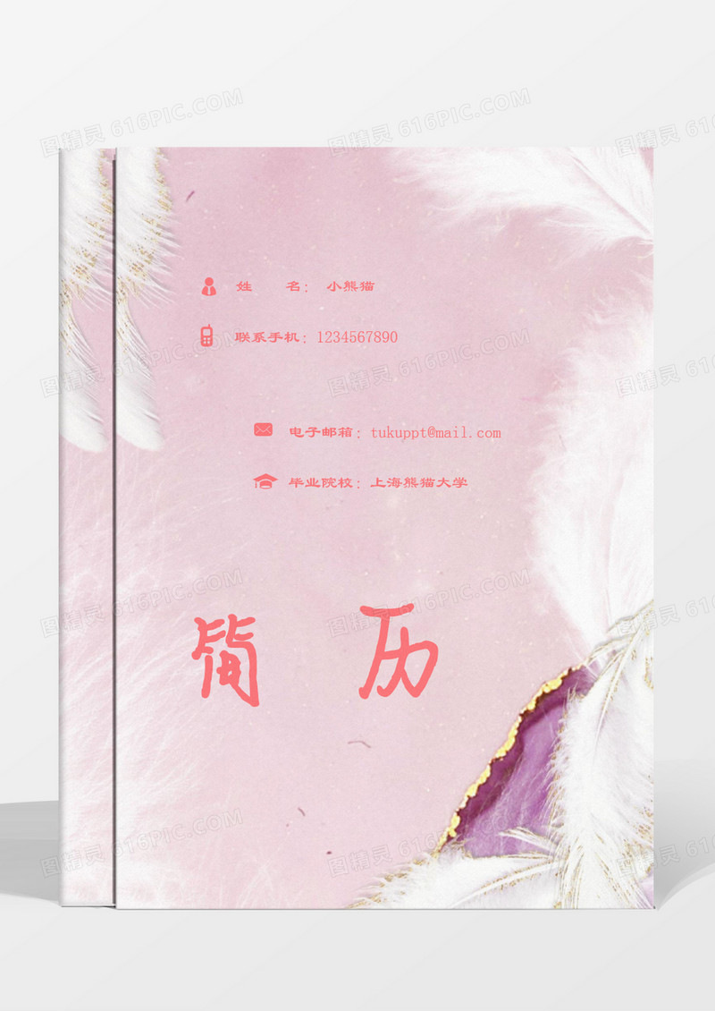 粉色羽毛简洁成套简历淘宝美工word模板