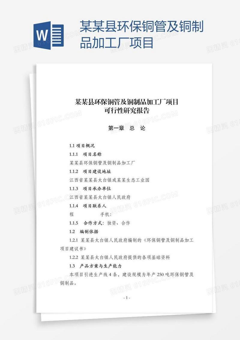 某某县环保铜管及铜制品加工厂项目