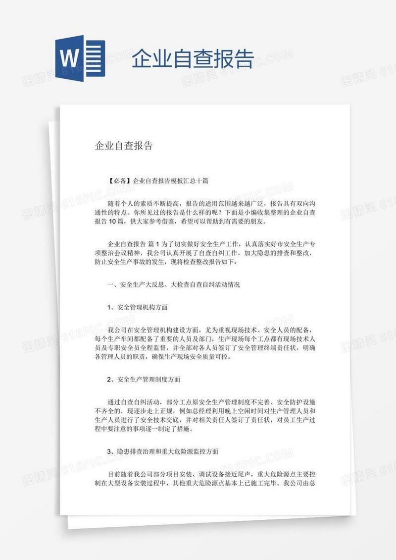企业自查报告