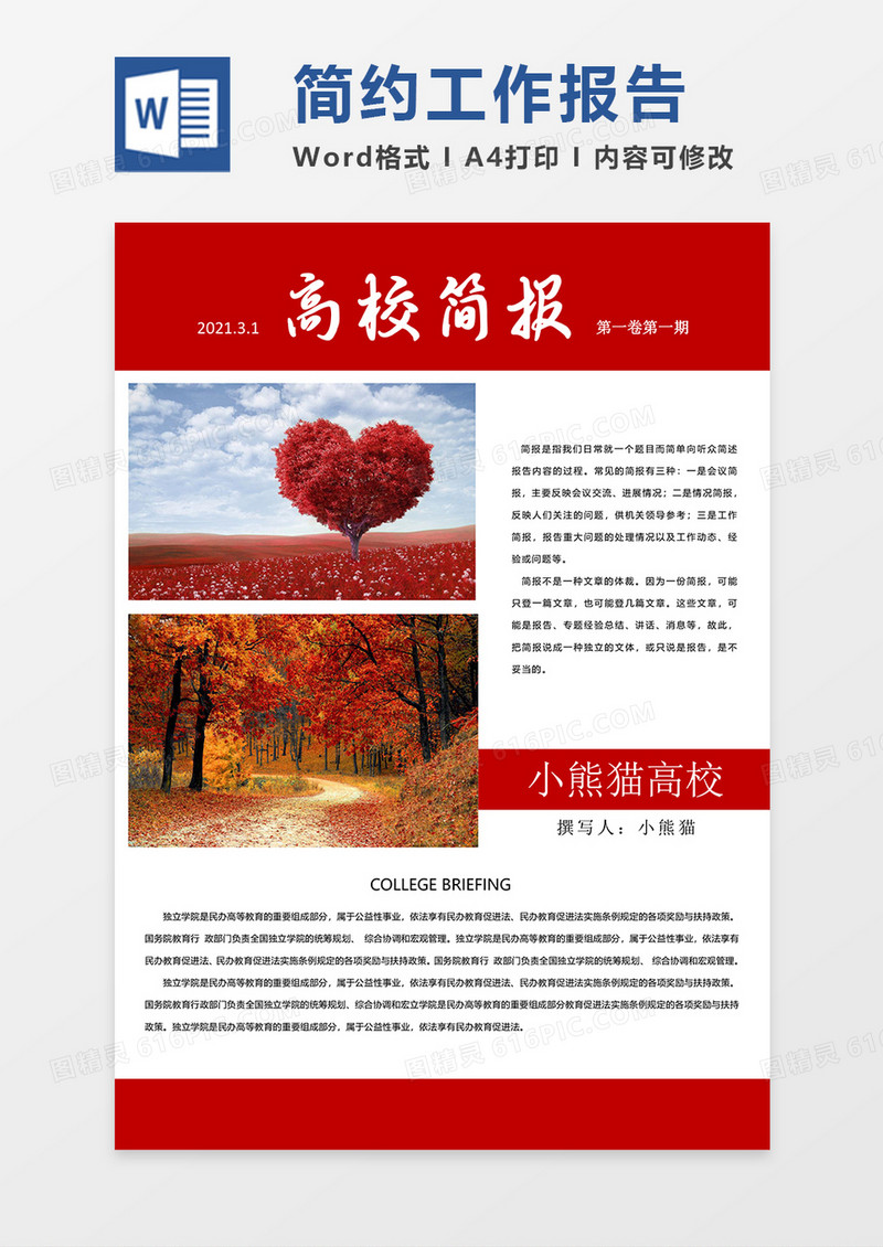 红色简约大气简报word模板