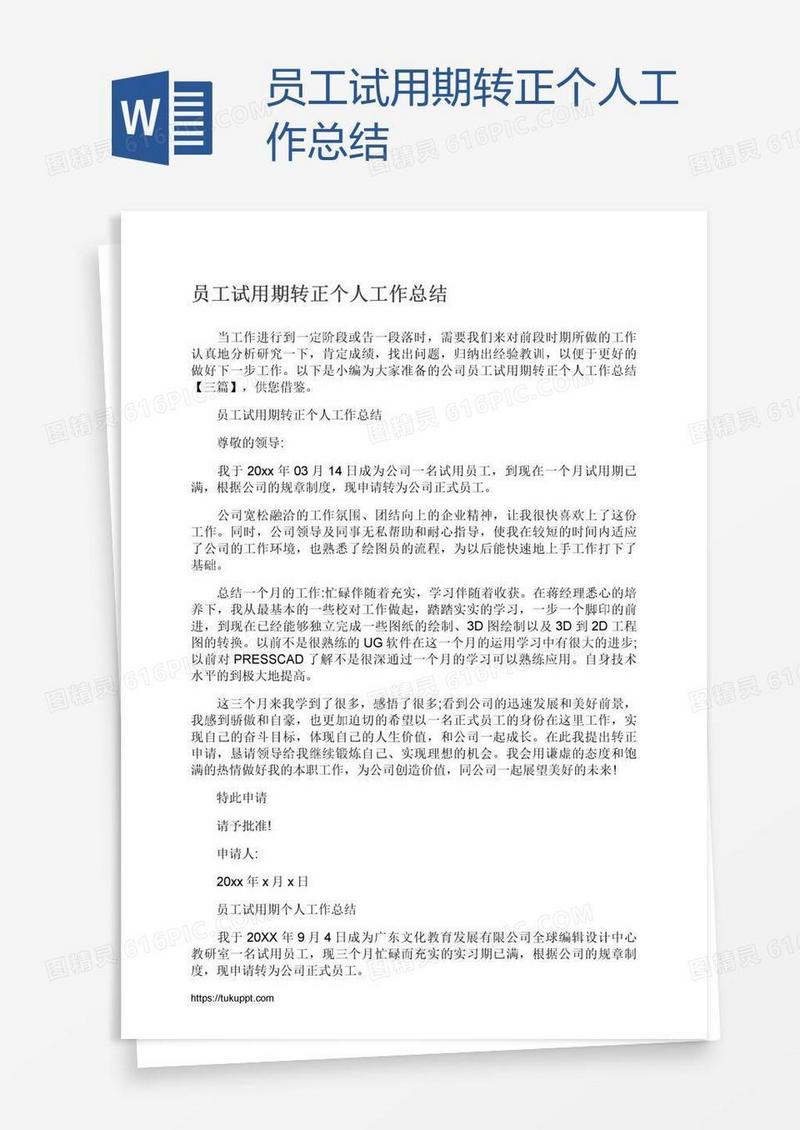员工试用期转正个人工作总结