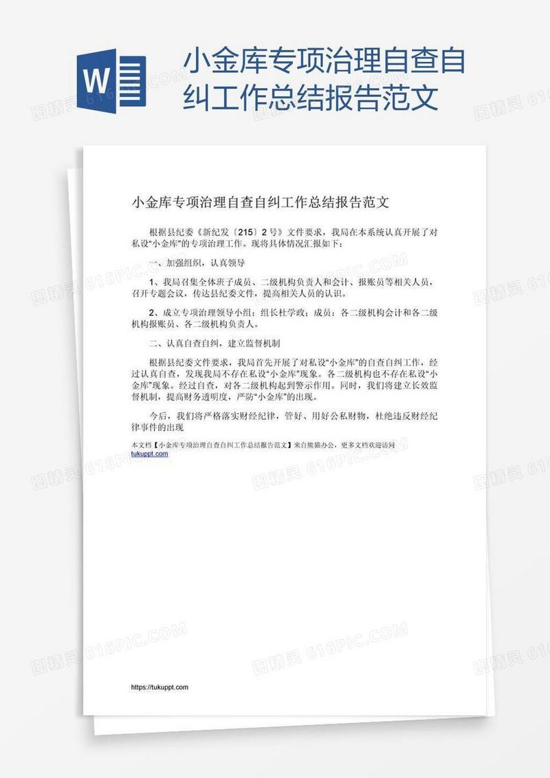小金库专项治理自查自纠工作总结报告范文