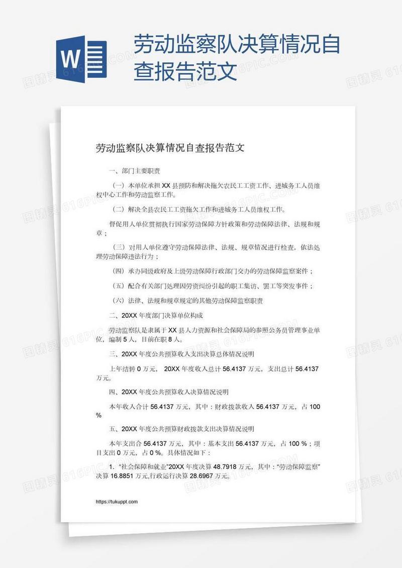 劳动监察队决算情况自查报告范文