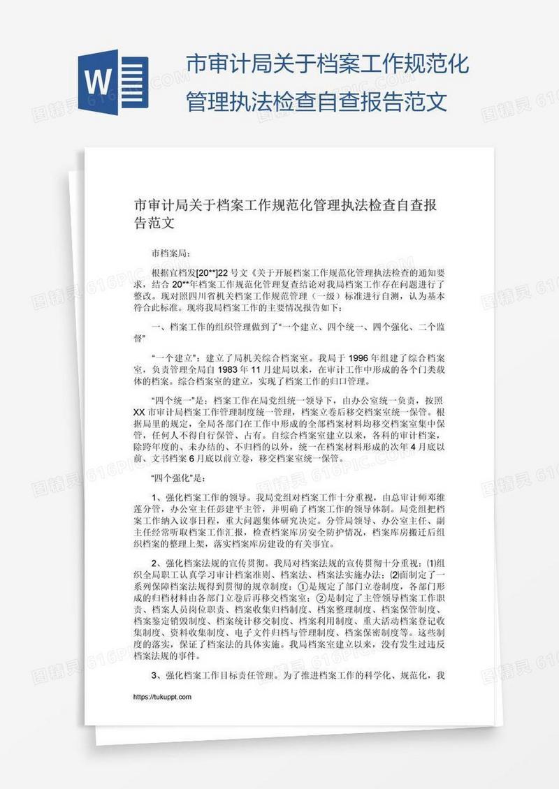 市审计局关于档案工作规范化管理执法检查自查报告范文
