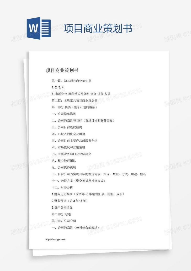 项目商业策划书