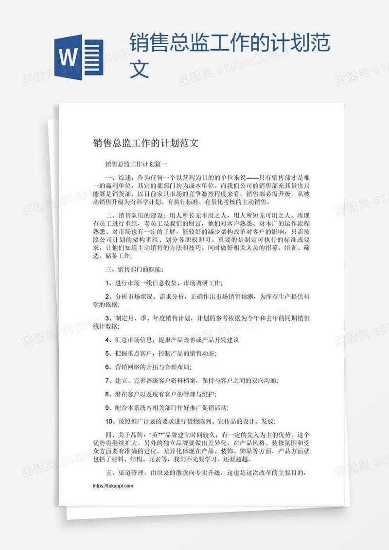 销售总监工作的计划范文