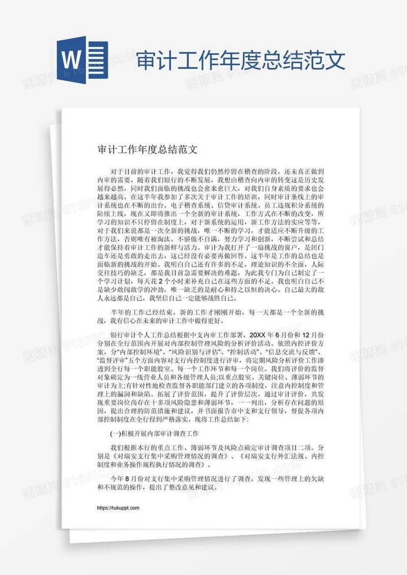 审计工作年度总结范文