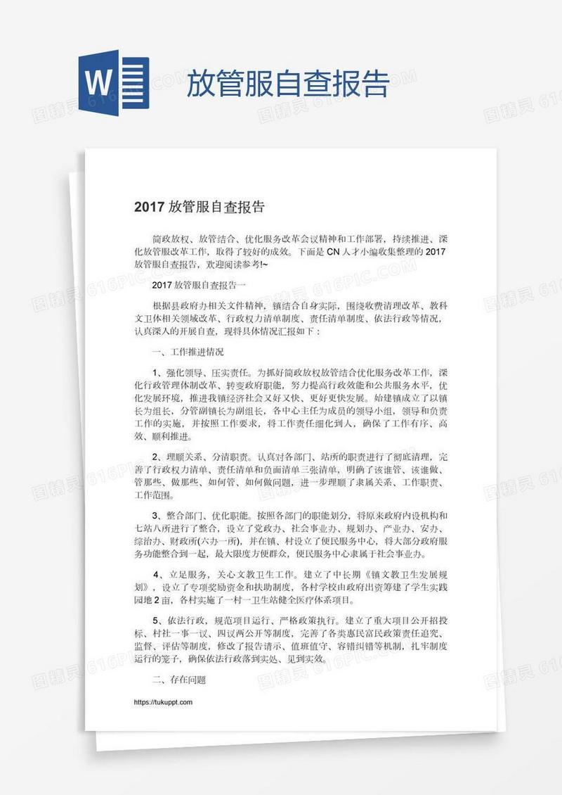 放管服自查报告