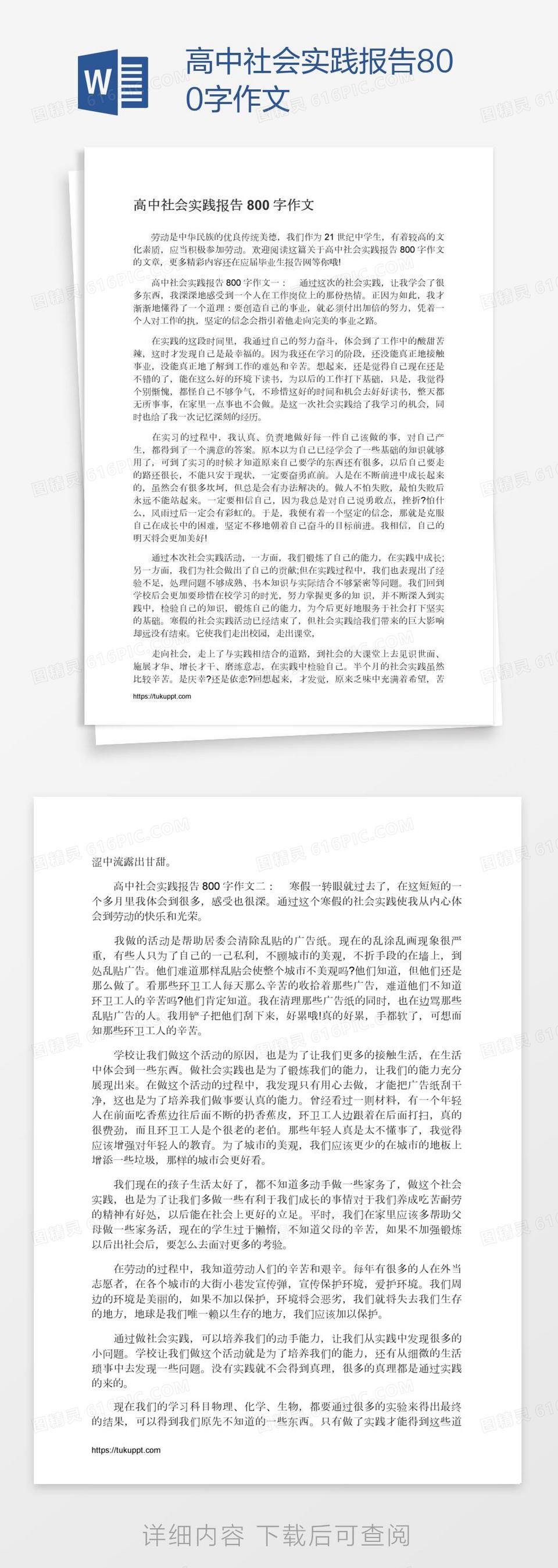 高中社会实践报告800字作文