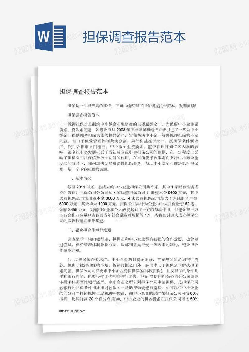 担保调查报告范本