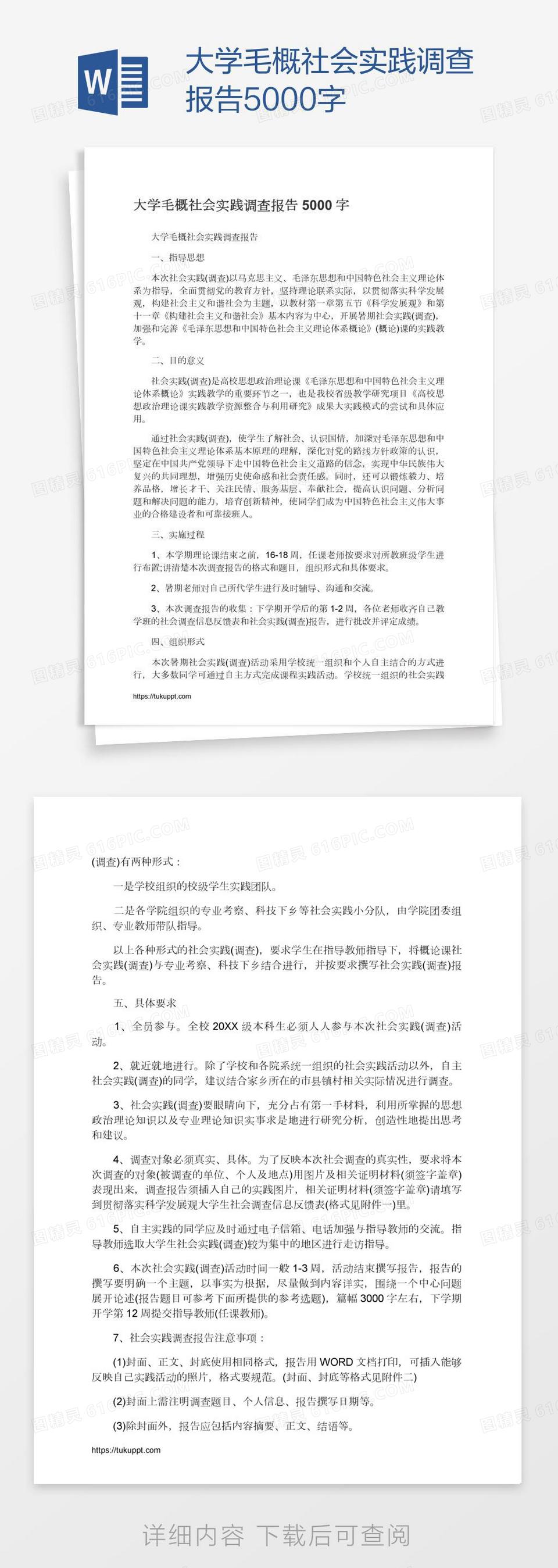 大学毛概社会实践调查报告5000字