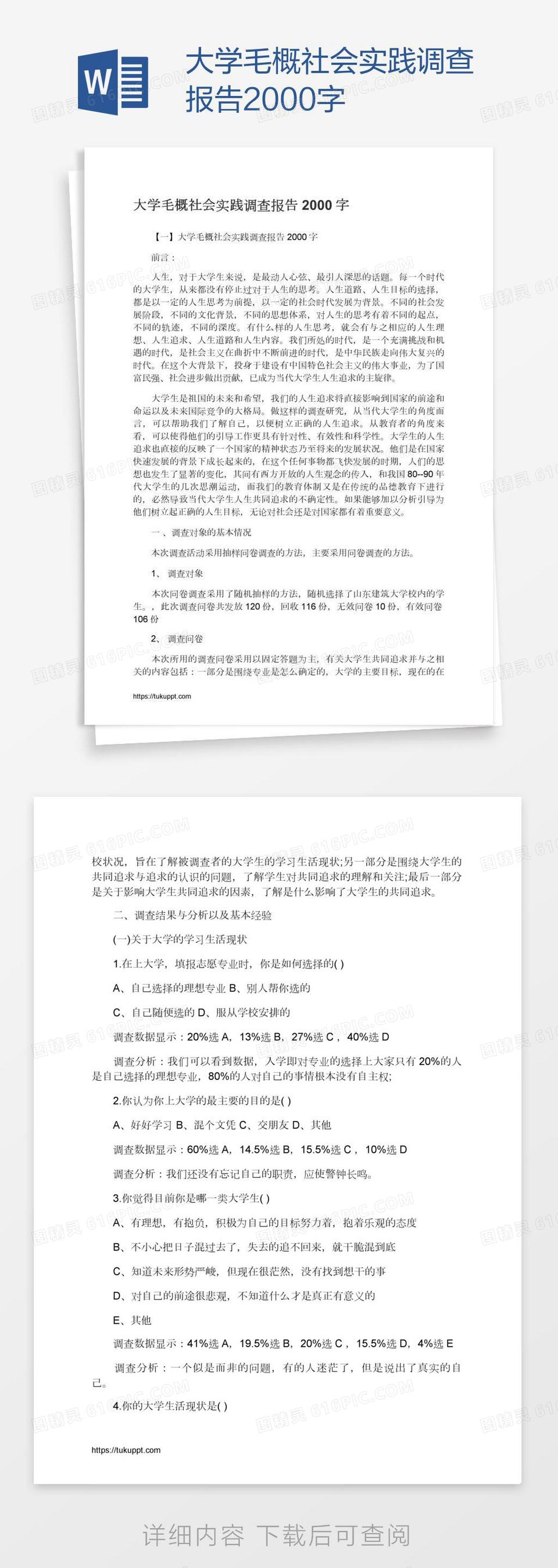 大学毛概社会实践调查报告2000字