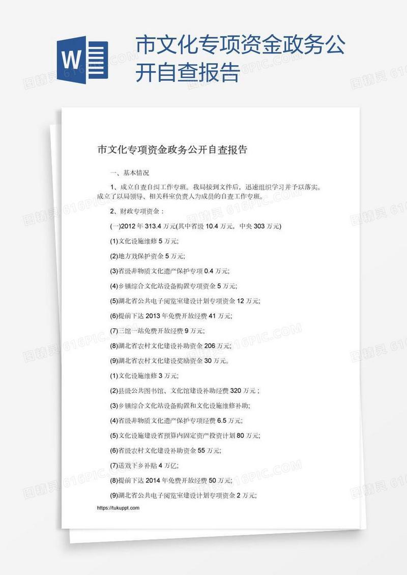 市文化专项资金政务公开自查报告