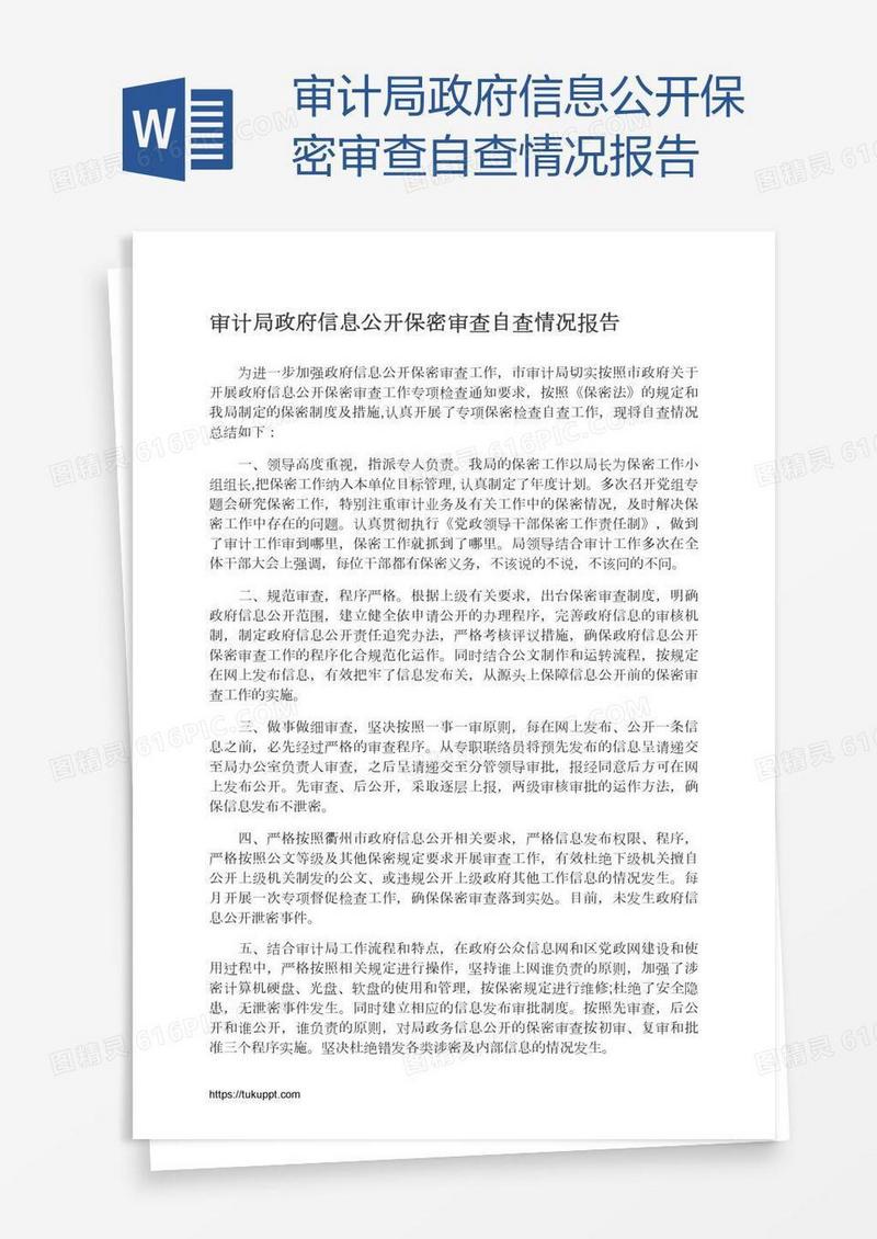 审计局政府信息公开保密审查自查情况报告