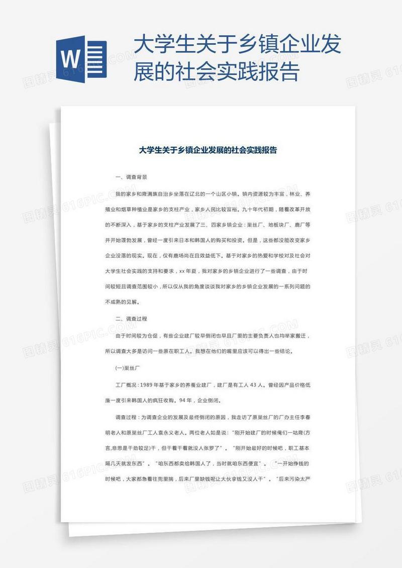 大学生关于乡镇企业发展的社会实践报告