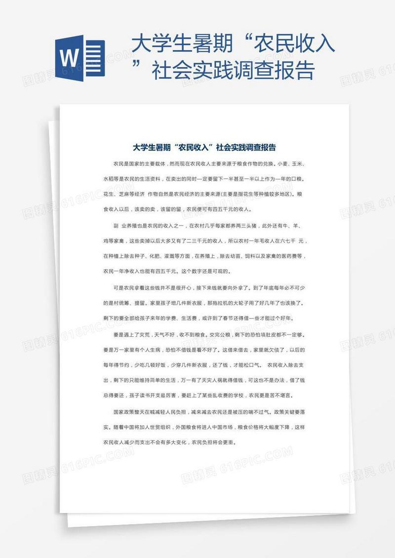 大学生暑期“农民收入”社会实践调查报告