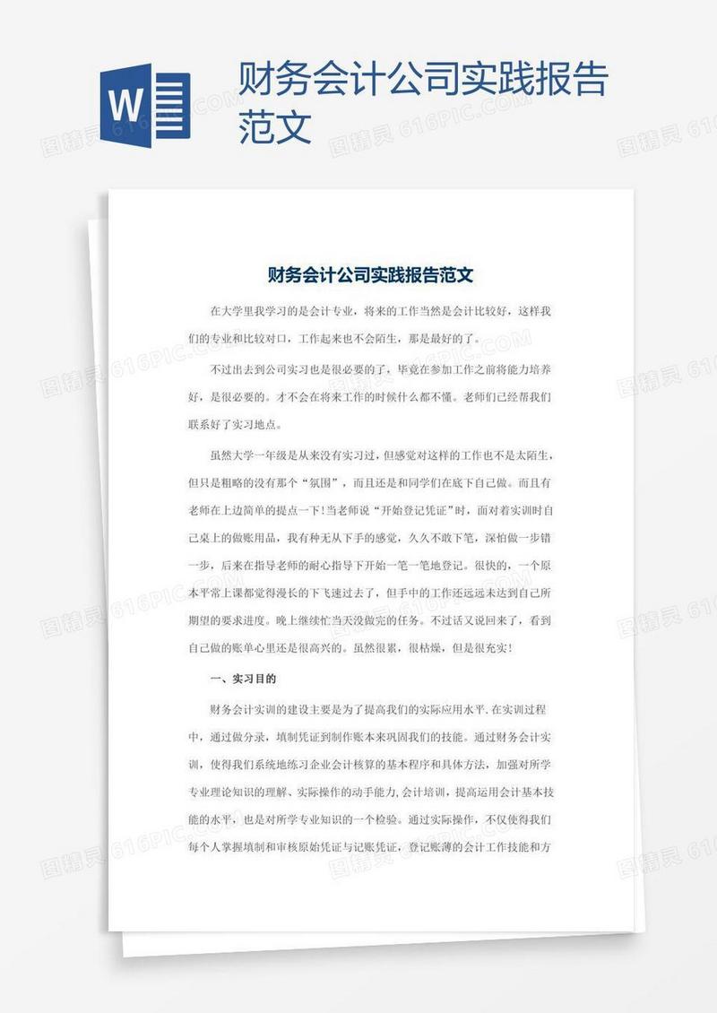 财务会计公司实践报告范文