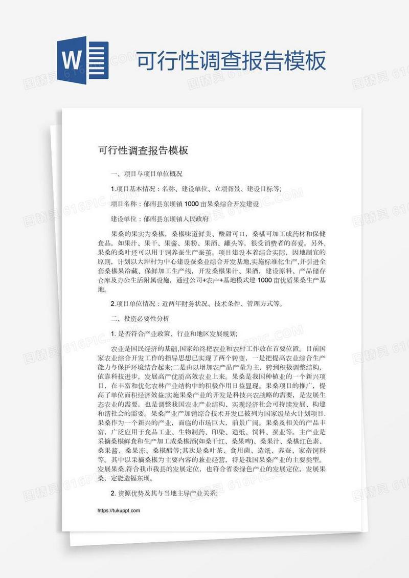 可行性调查报告模板