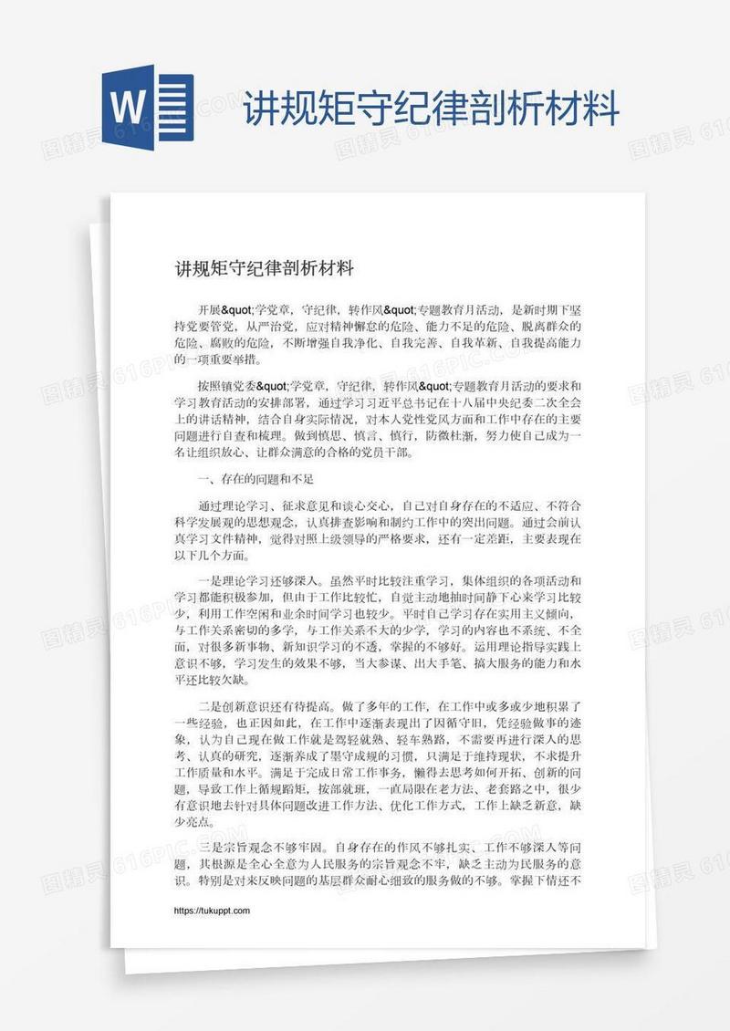 讲规矩守纪律剖析材料