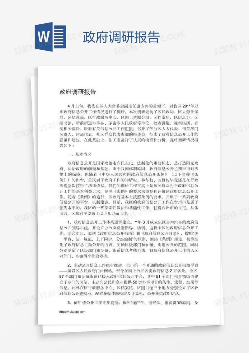 政府调研报告