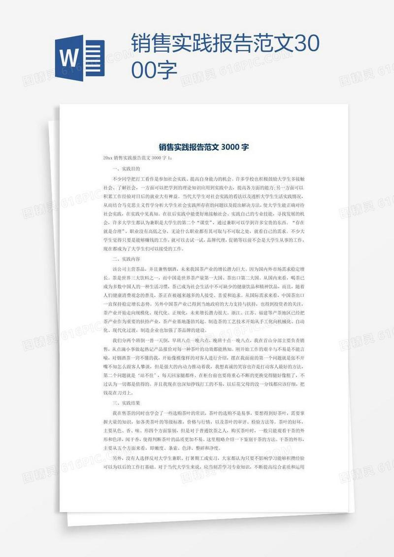 销售实践报告范文3000字