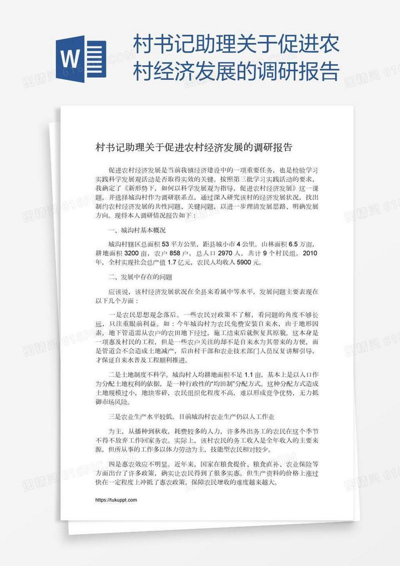 村书记助理关于促进农村经济发展的调研报告