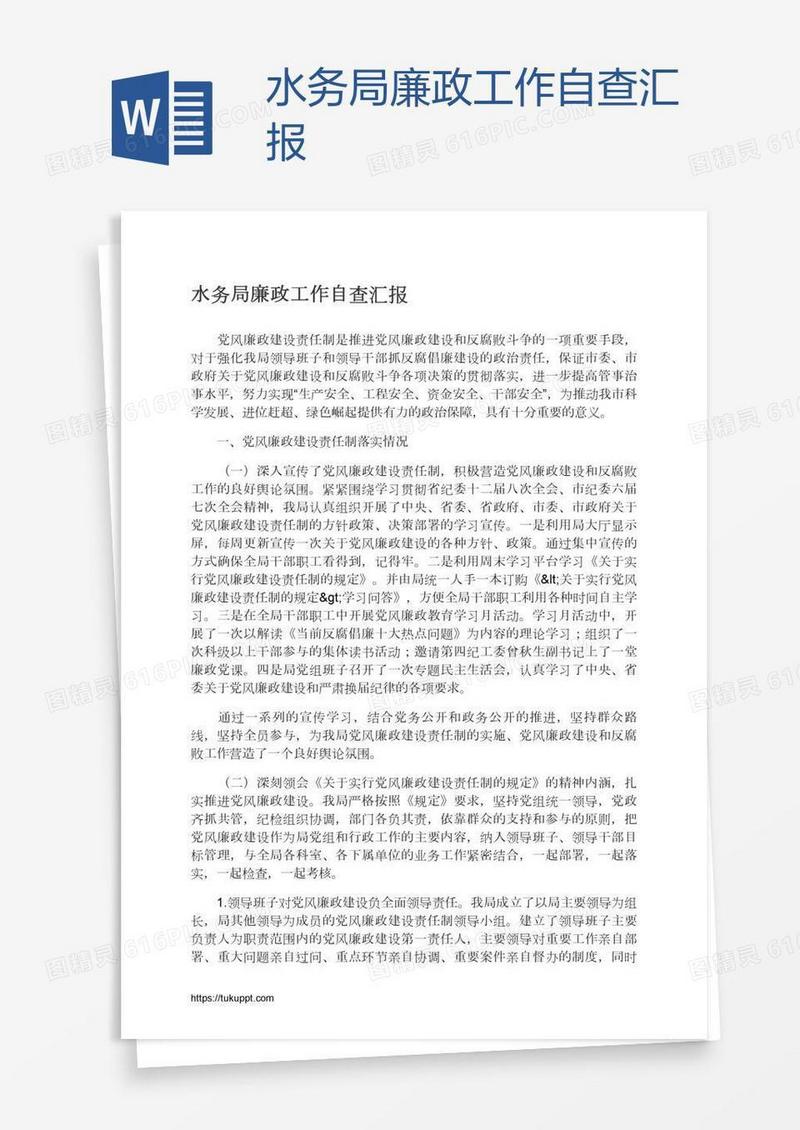 水务局廉政工作自查汇报